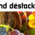 Grand déstockage des 